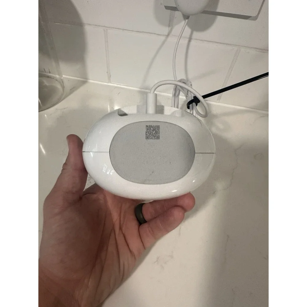 google great